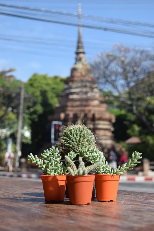 See You Soon, Chiang Mai Exterior photo
